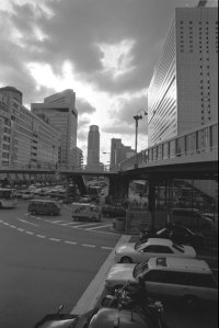 Osaka Jungle