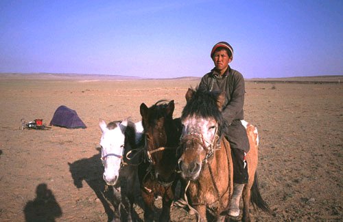Boy With Three Horses